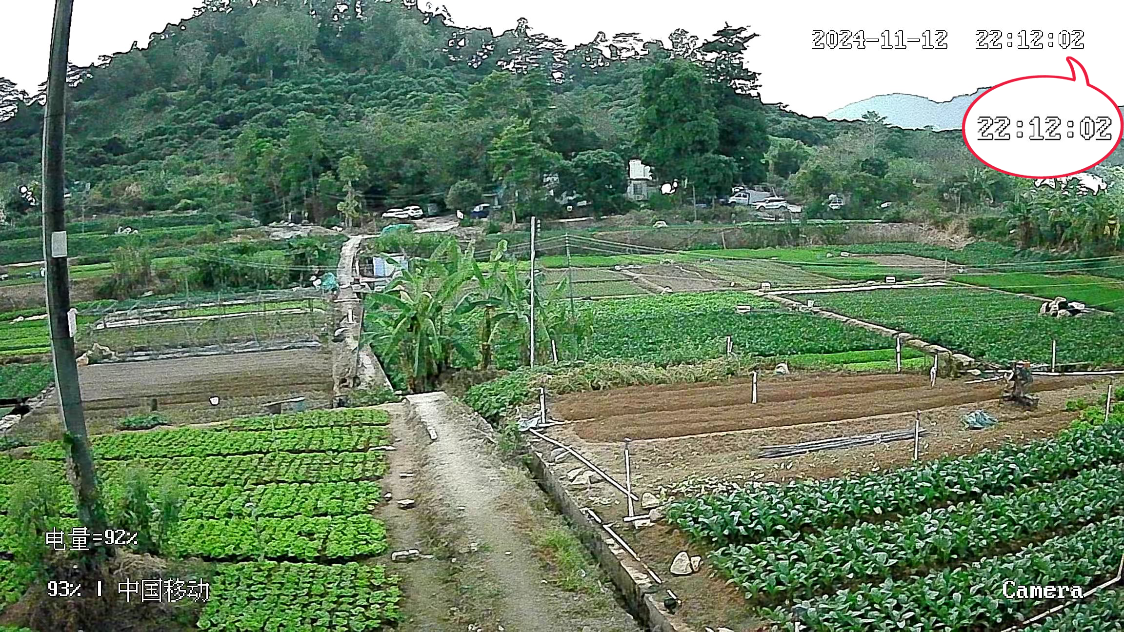 图片关键词 图片关键词